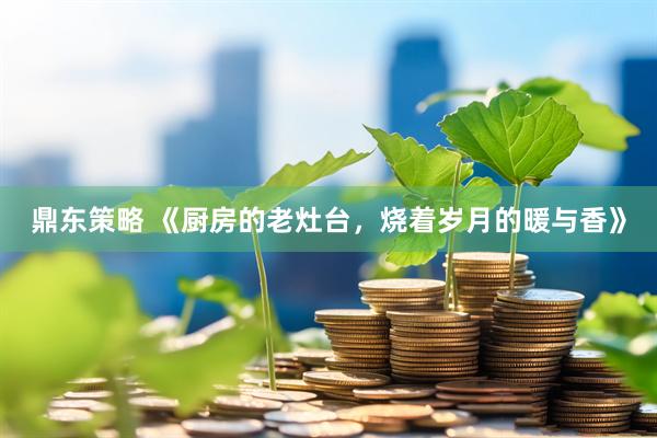 鼎东策略 《厨房的老灶台，烧着岁月的暖与香》