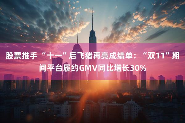 股票推手 “十一”后飞猪再亮成绩单:“双11”期间平台履约GMV同比增长30%