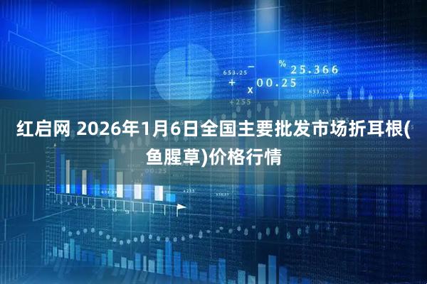红启网 2026年1月6日全国主要批发市场折耳根(鱼腥草)价格行情