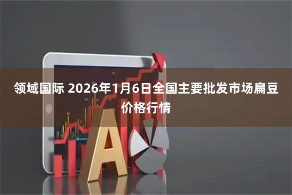领域国际 2026年1月6日全国主要批发市场扁豆价格行情