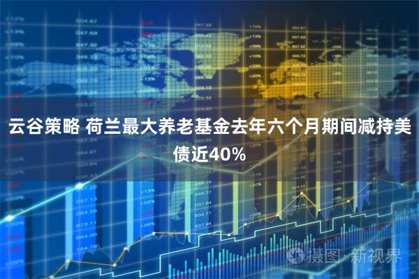 云谷策略 荷兰最大养老基金去年六个月期间减持美债近40%